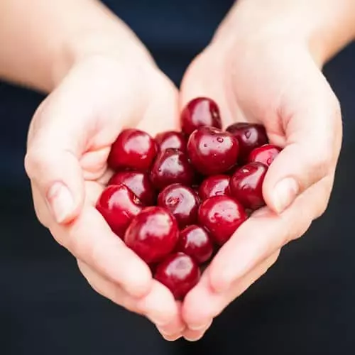 De la graine à la cerise